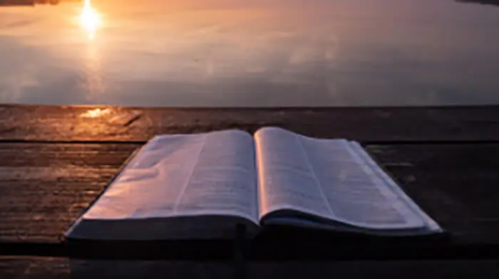 Mens Precept Bible Study at First Baptist Church of Lakewood Church in lakewood, WA